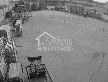 Zdjęcie 15190523