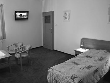 Zdjęcie 15190640