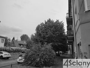 Zdjęcie 15191158