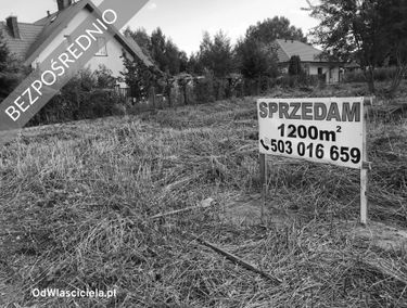 Zdjęcie 15193180