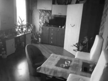Zdjęcie 15193436