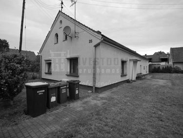 Zdjęcie 15193911