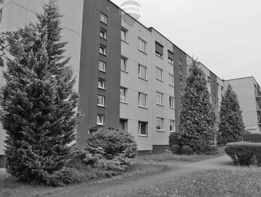 Zdjęcie 15194124