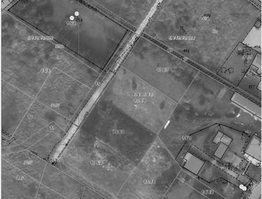 Zdjęcie 15194566