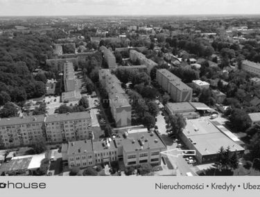 Zdjęcie 15194577