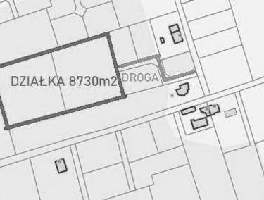 Zdjęcie 15195003