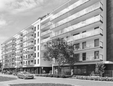 Zdjęcie 15195012