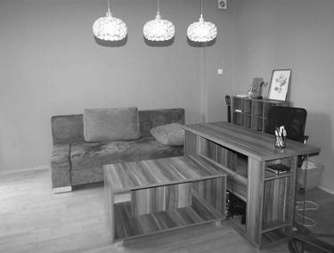 Zdjęcie 15195013