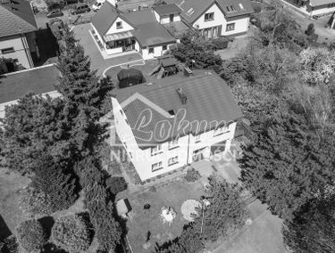 Zdjęcie 15195049