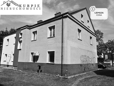 Zdjęcie 15195201
