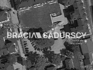 Zdjęcie 15195970