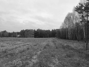 Zdjęcie 15196247