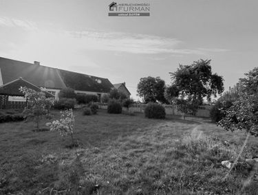 Zdjęcie 15196357