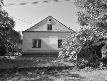 Zdjęcie 15196622