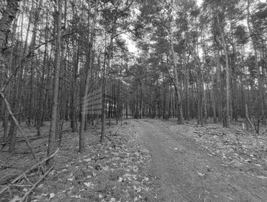 Zdjęcie 15196639