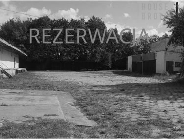 Zdjęcie 15196738