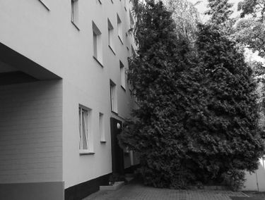 Zdjęcie 15197033