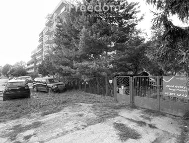 Zdjęcie 15197134