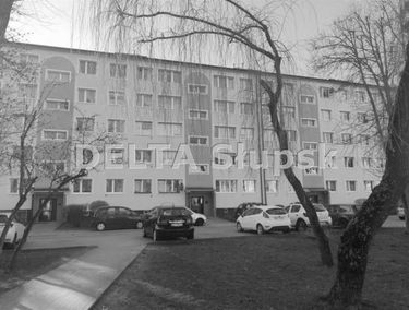 Zdjęcie 15197372