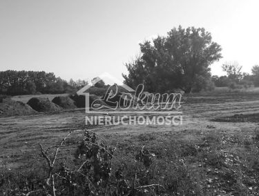 Zdjęcie 15197377