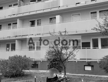 Zdjęcie 15197699