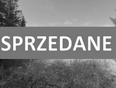 Zdjęcie 15197895