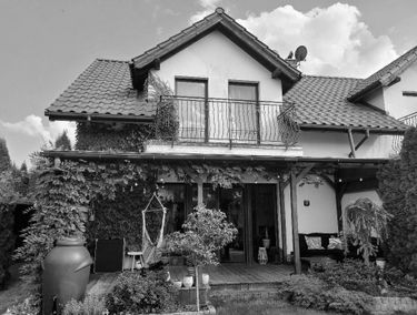 Zdjęcie 15197979