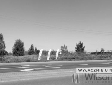 Zdjęcie 15198490