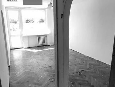 Zdjęcie 15198661