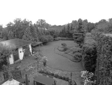 Zdjęcie 15198681