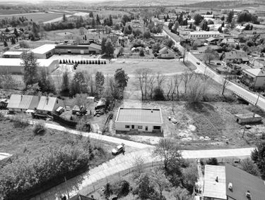 Zdjęcie 15198682