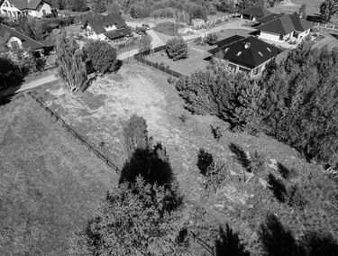 Zdjęcie 15198695