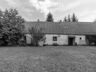Zdjęcie 15198862