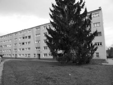 Zdjęcie 15198960