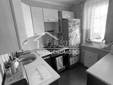 Zdjęcie 15199445
