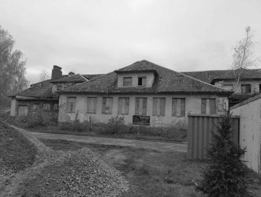 Zdjęcie 15199479