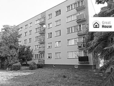 Zdjęcie 15199523