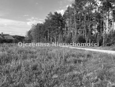 Zdjęcie 15199546