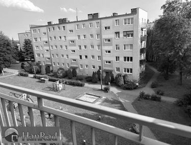 Zdjęcie 15199589
