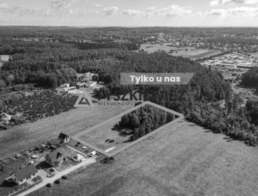 Zdjęcie 15199644