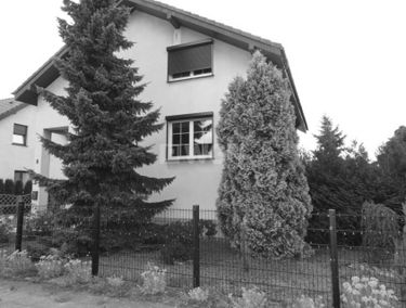 Zdjęcie 15199650