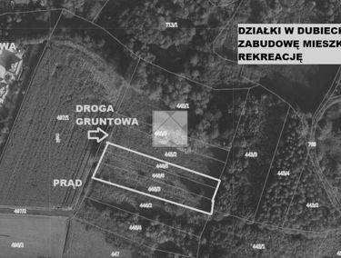 Zdjęcie 15199663