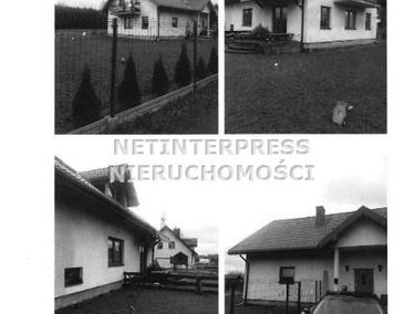 Zdjęcie 15200114
