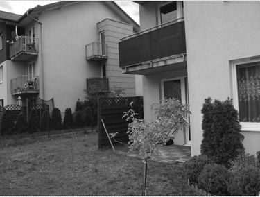 Zdjęcie 15200256
