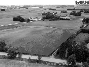 Zdjęcie 15200503