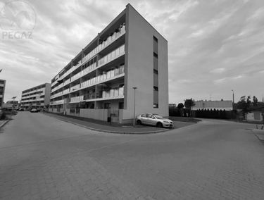 Zdjęcie 15202580
