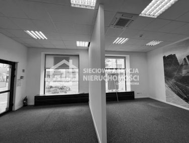 Zdjęcie 15202725