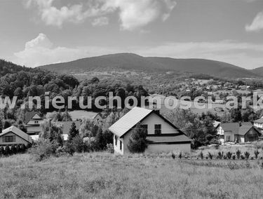 Zdjęcie 15203563
