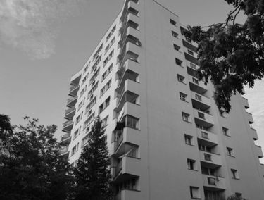 Zdjęcie 15203681