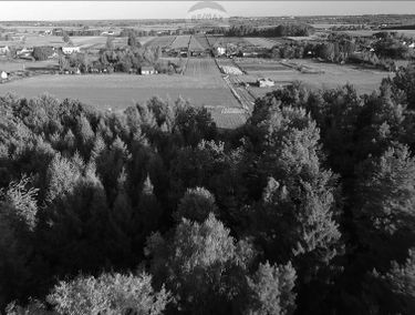 Zdjęcie 15204224